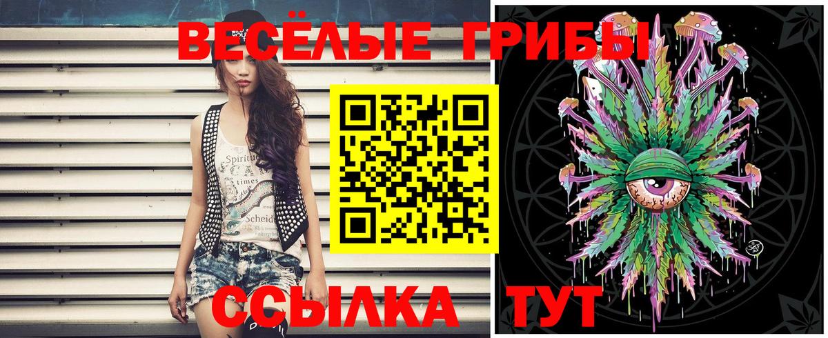 Ангарск  купить наркотик  Вход с VPN  Галлюциногенные грибы MAGIC MUSHROOMS 